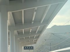 -老温州馄饨担(东游大厦店)