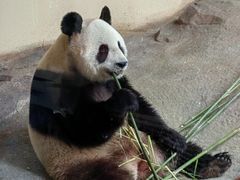 -宁波野生动物园