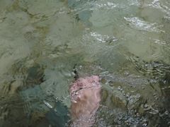 -天目湖涵田度假村