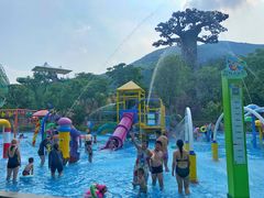 -苏州乐园森林水世界