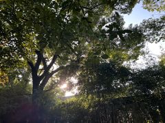 -西园寺