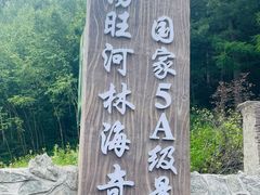 -汤旺河林海奇石景区