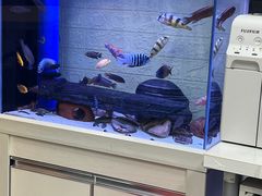-方快-照相馆(莘庄沁春路店)
