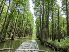 -尚湖风景区