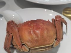 -富淳饭店(陆家嘴保利广场店)