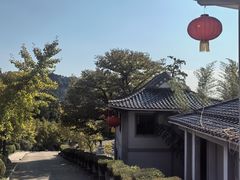 -遵化市禅林寺古银杏风景园