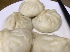 猪肉大葱俩-京天红酒家(虎坊路店)