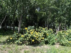 -中鑫之宝领克中心(姚家园店)