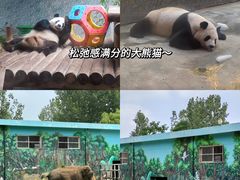 -西安秦岭野生动物园