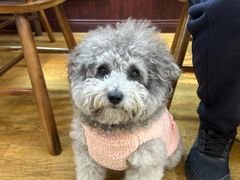 -观桥阁(锦溪店)