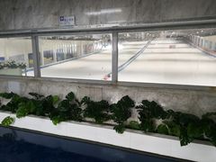 -绍兴启迪乔波冰雪世界