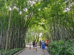 -晓港公园