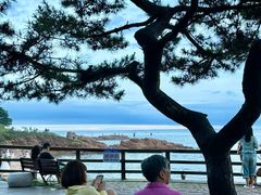 -青岛第二海水浴场