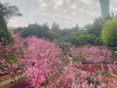 -狐尾山公园