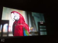 -AMG海上明珠影城(上海环球港RealDCinema店)