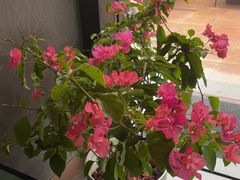 -蔚海之都·象山蒸汽海鲜(仙霞路店)