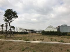 -南汇嘴观海公园