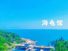 -广东惠东海龟国家级自然保护区