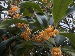 -苏州河梦清园环保主题公园