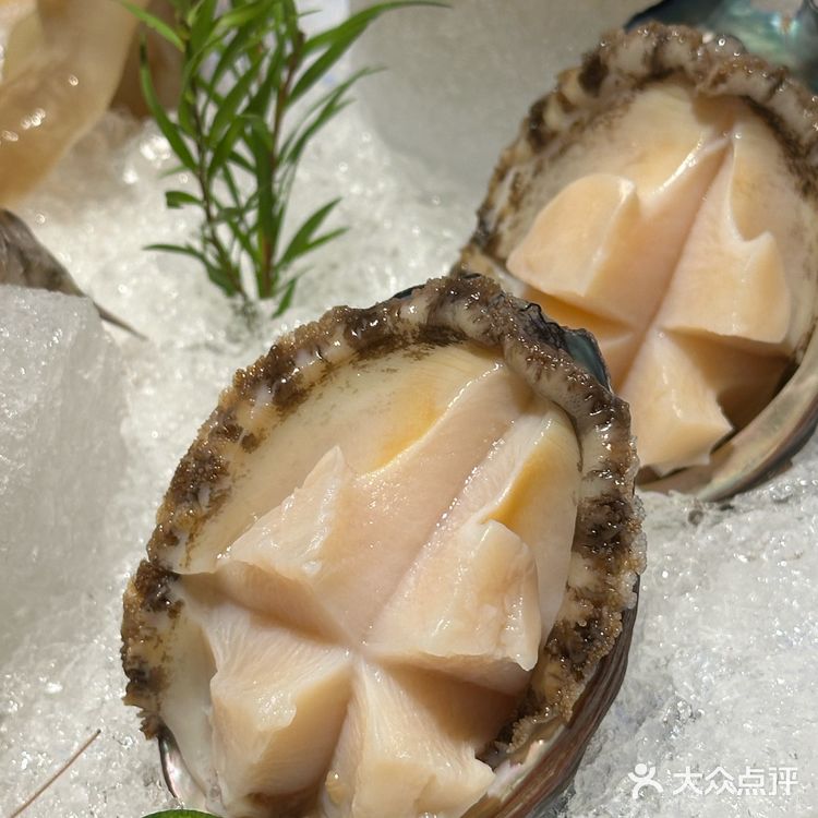 快来感受花胶鸡的魅力