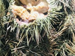 -港畔赶海蒸汽海鲜烧烤自助(仙螺岛店)