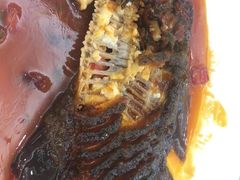 -天天渔港(杏林街店)