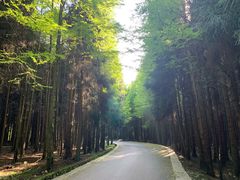 -山王坪喀斯特国家生态公园