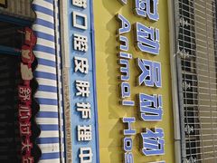 -总动员动物医院(宝丰院店)