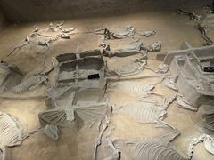 -洛阳周王城天子驾六博物馆