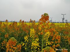 -中国天府农业博览园