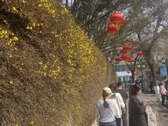 -福利来酒店(泺源大街店)