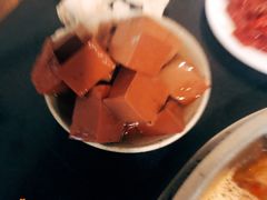 鸭血-苟味道老火锅(黄桷坪店)