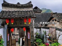 -姚家豆花