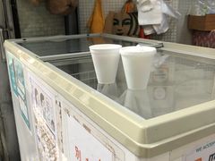 -洪馨椰子