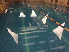 -西吉马游泳健身(协信店)