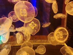 -多彩贵州城极地海洋世界