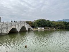 -飞来湖湿地公园