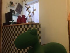 -豆老板的猫咖啡(碑林博物馆店)