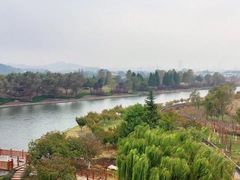 -羊亭河湿地公园