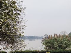 -海珠湖公园