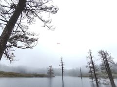 景点-瓦屋山景区