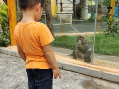 -灵玲国际马戏城