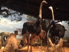 iphone_upload_pic-山东博物馆