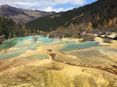-黄龙山原始森林景区