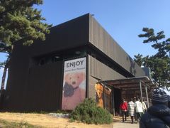 -济州岛泰迪熊博物馆