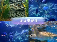 -欢乐海岸海洋奇梦馆