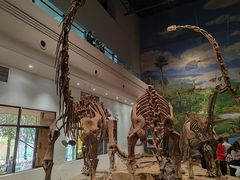 -自贡恐龙博物馆