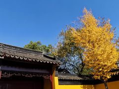 -西园戒幢律寺