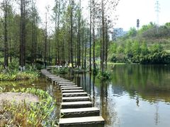 -重庆彩云湖湿地公园