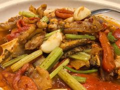 回锅肉炒鲍鱼-王捌小院(红花坡店)
